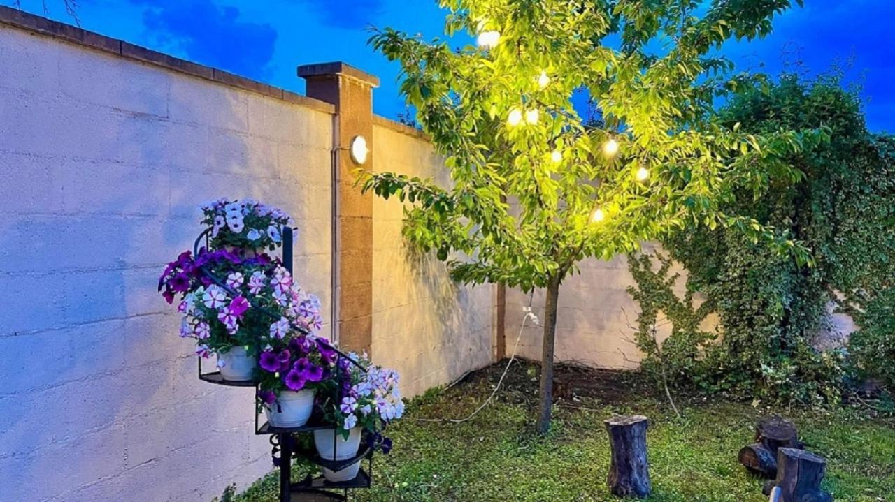 Hotel Oxford By Timhotels Temešvár Exteriér fotografie